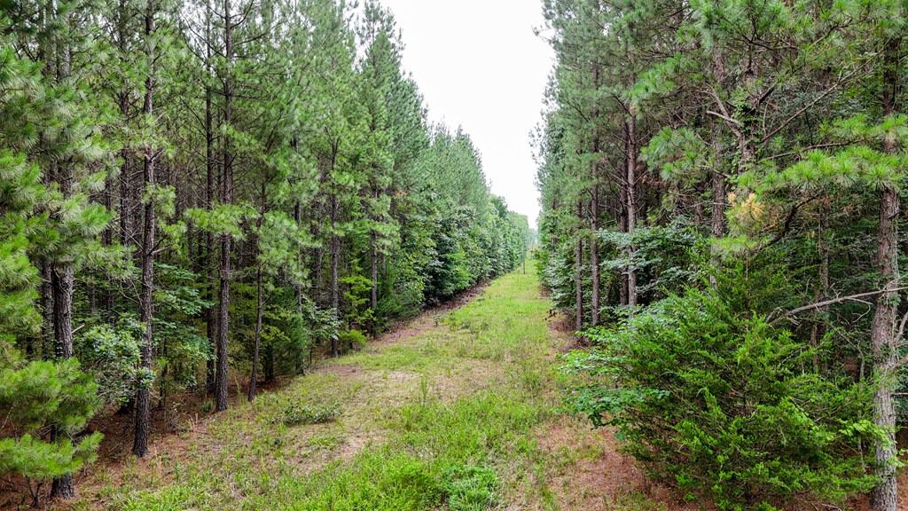 Private 31.5-Acre Retreat Bordering Virginia State Land