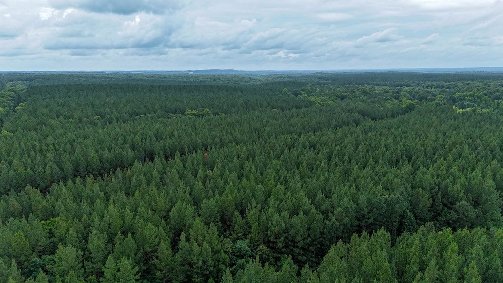 Private 31.5-Acre Retreat Bordering Virginia State Land