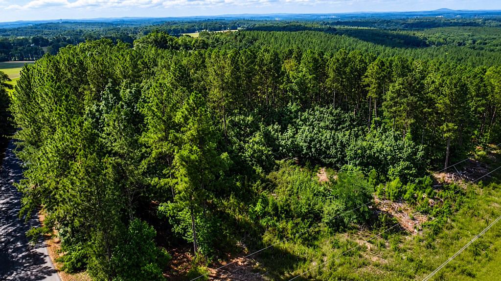 Wileman Wonder!! Premier 108.71-Acre Hunting & Timber Tract