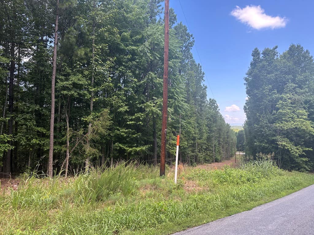 Wileman Wonder!! Premier 108.71-Acre Hunting & Timber Tract