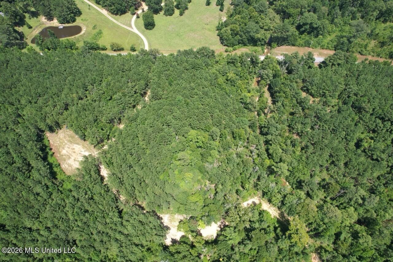 11± Acres in McCall Creek, MS with Creek Frontage