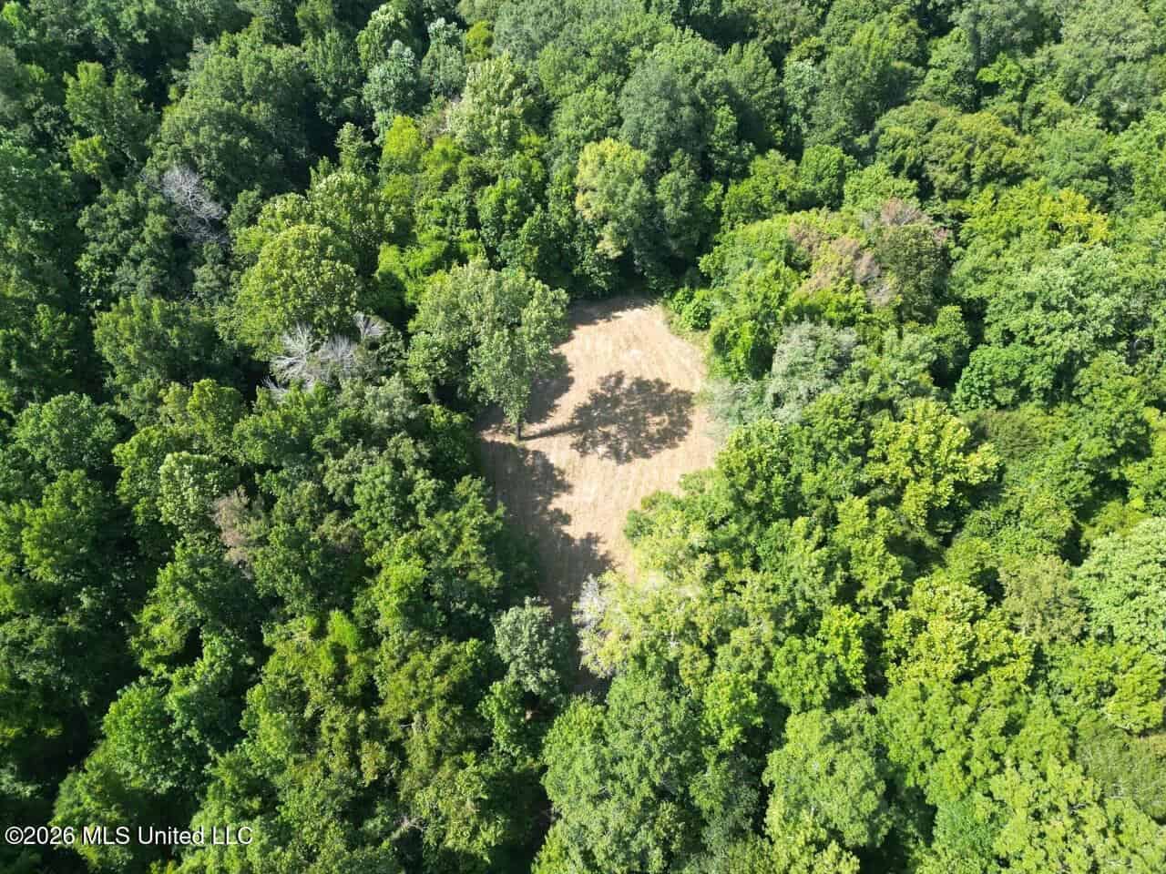 375± Acres in Jefferson County, MS Near Natchez Trace