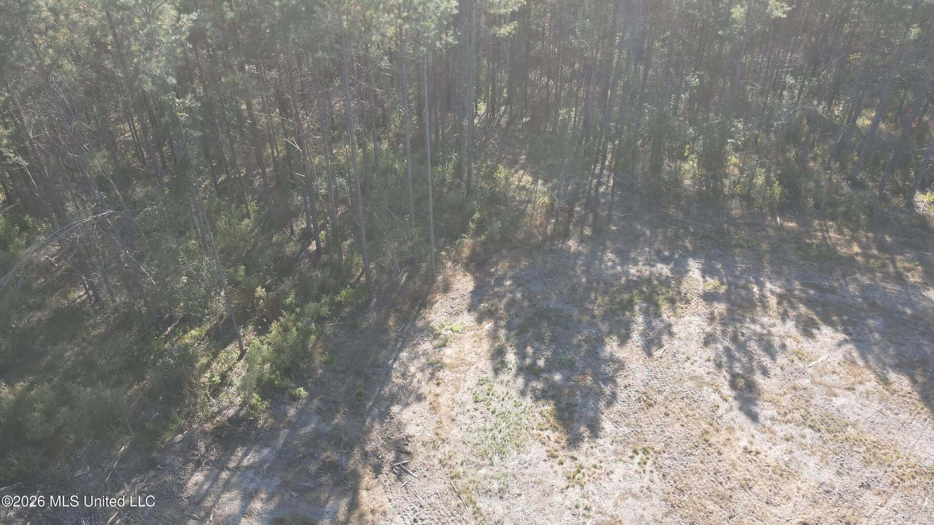 35 Acres for Sale in Pelahatchie, MS | Rankin County