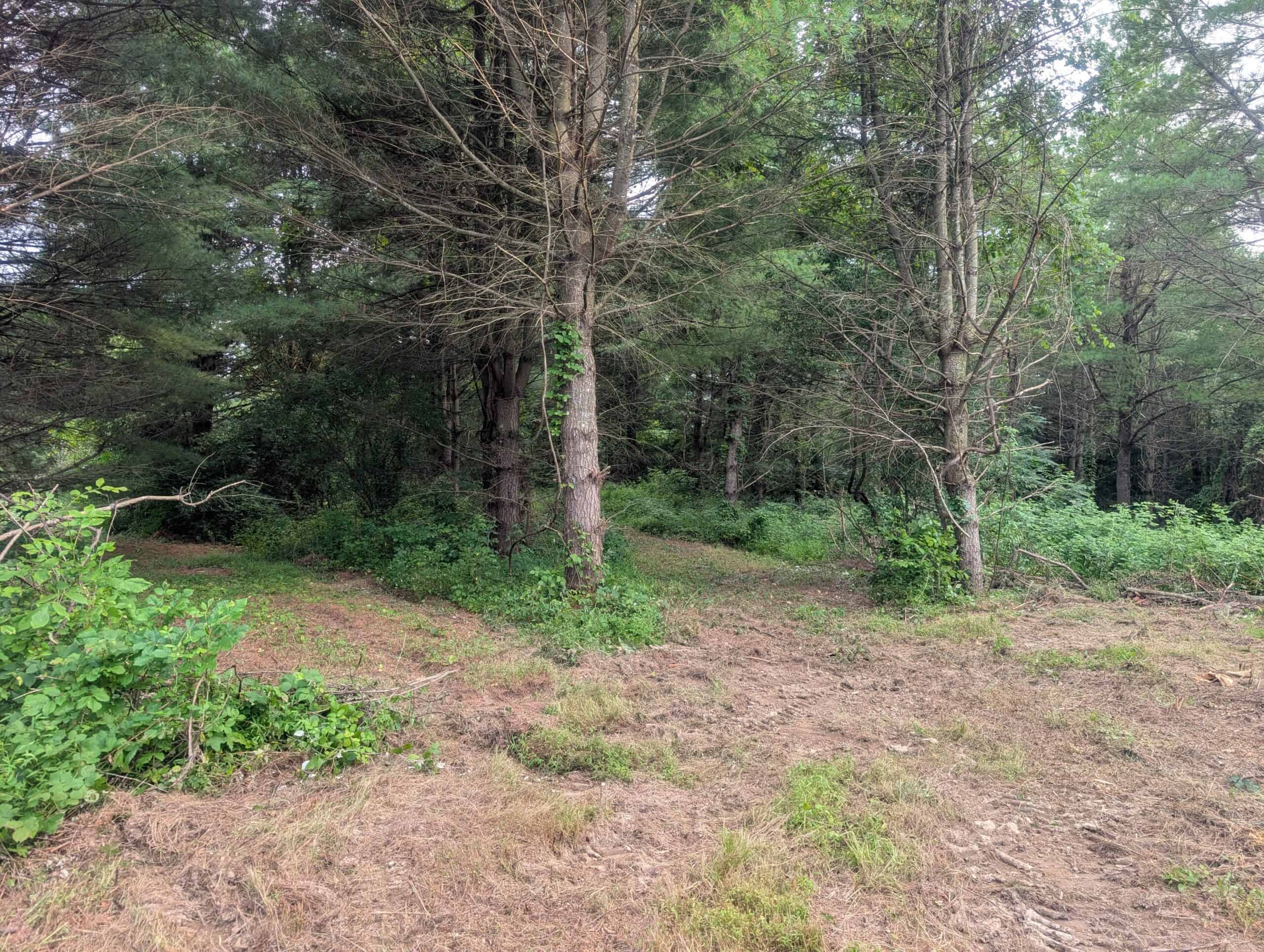 Camper Ready Recreational Tract in Noble County