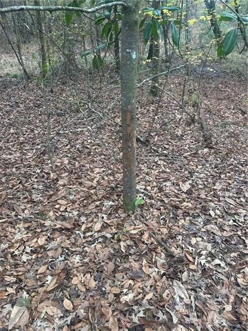 Hunting Property with Hwy and Creek Frontage