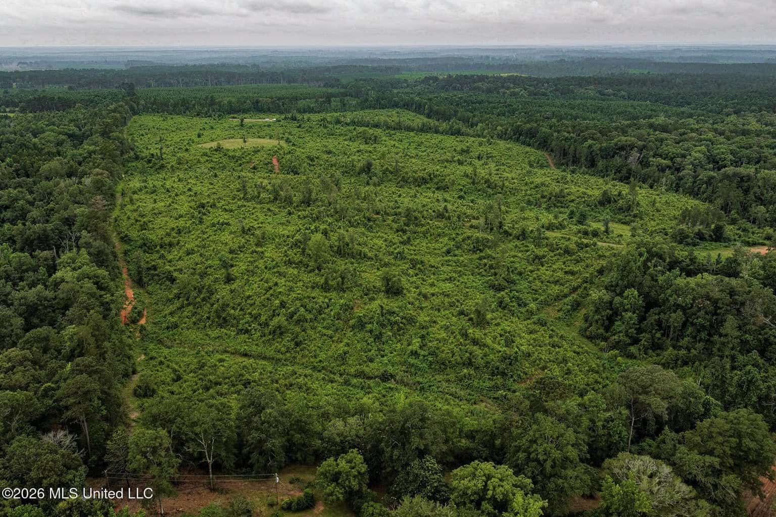 63.75 AC Amite County, MS Hunting Property