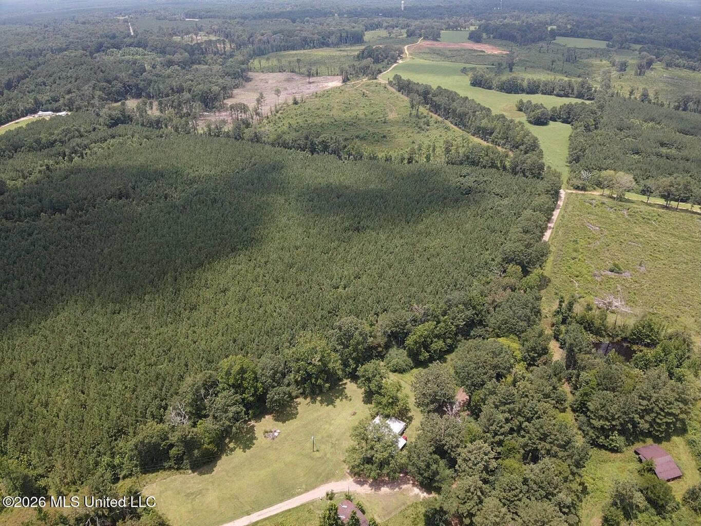 37 Acres for Sale in Morton, MS | Wooded Land