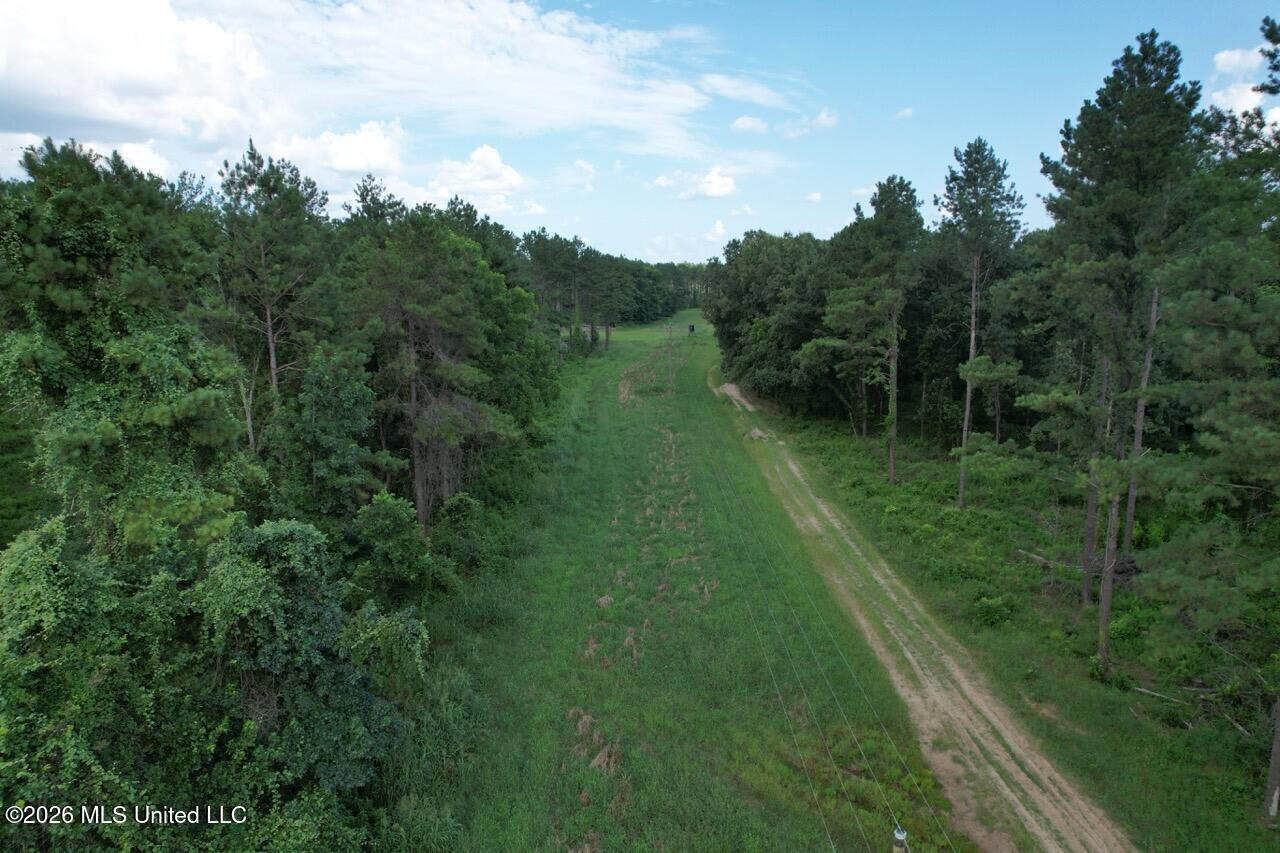 Wilkinson County, MS Hunting Club Membership