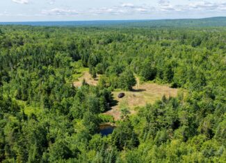Your Maine Escape – 67 Acres with Cabin, Power, & ATV Access