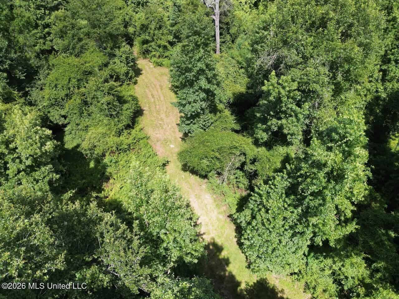 45± Acres in Aimwell, LA with Ford Creek Frontage