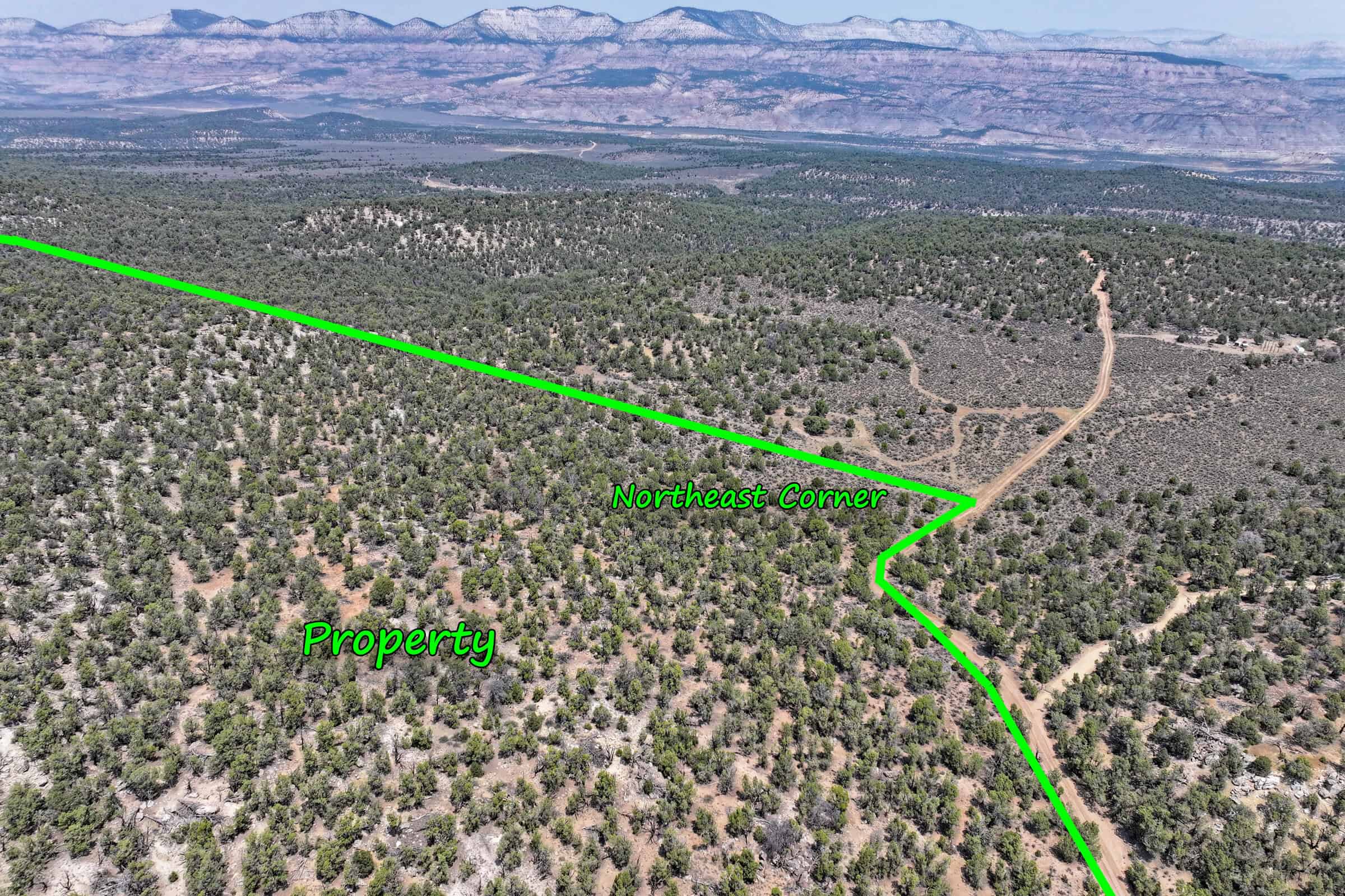 Cabin on 71 Acres in DeBeque Colorado