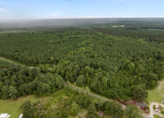 153-Acre Timberland for Sale in Edward, NC