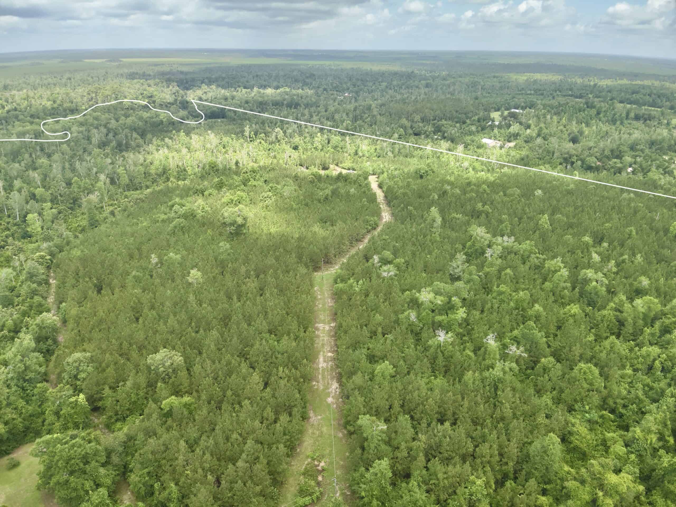130 Acres on the Chipola River | Hunting, Fishing & Recreation