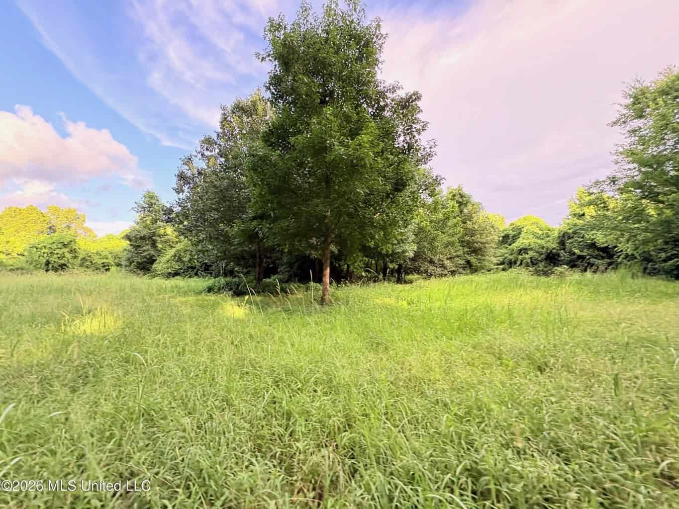 57 Acres Hunting Land for Sale in Gloster MS