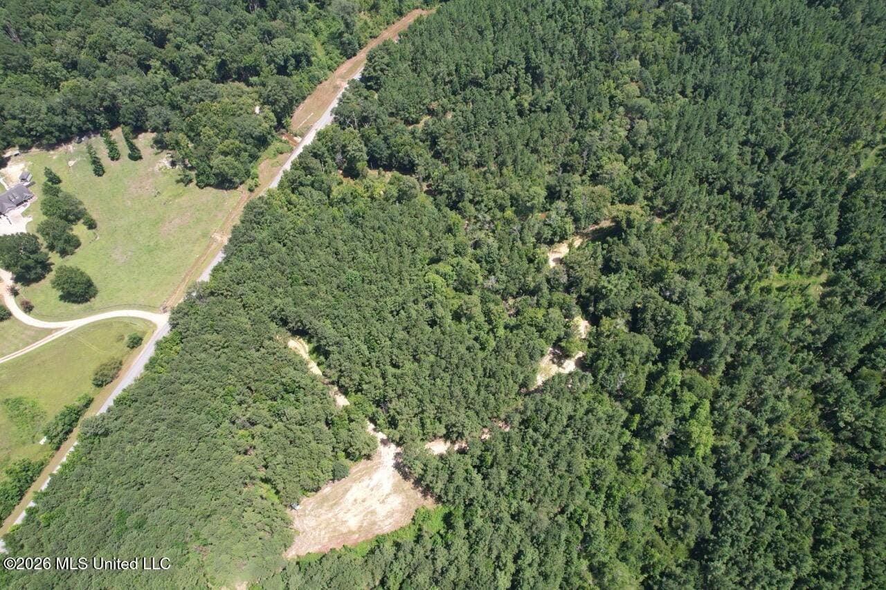 11± Acres in McCall Creek, MS with Creek Frontage