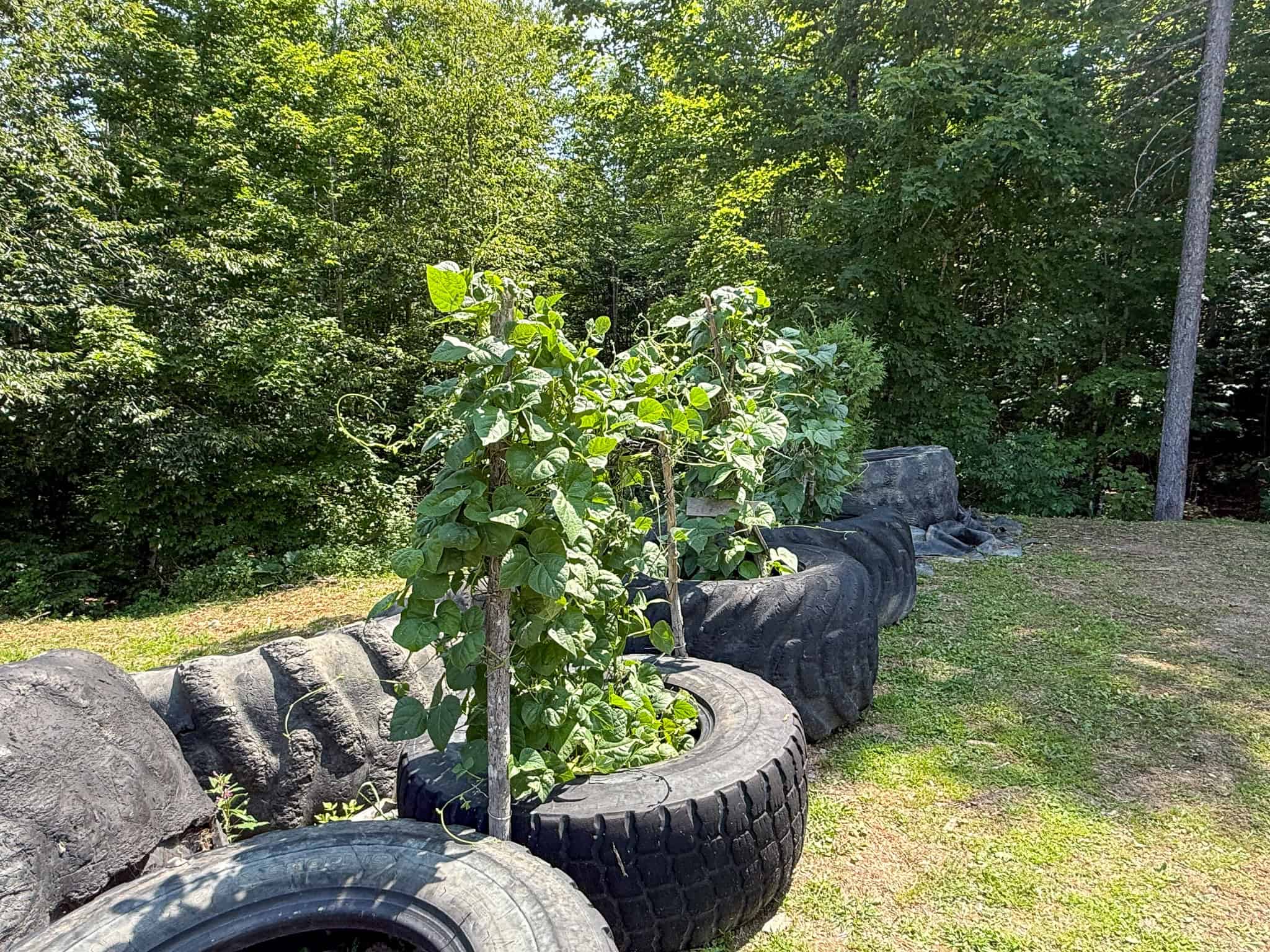 51.2 Acres & Private Cabin in the Maine Woods