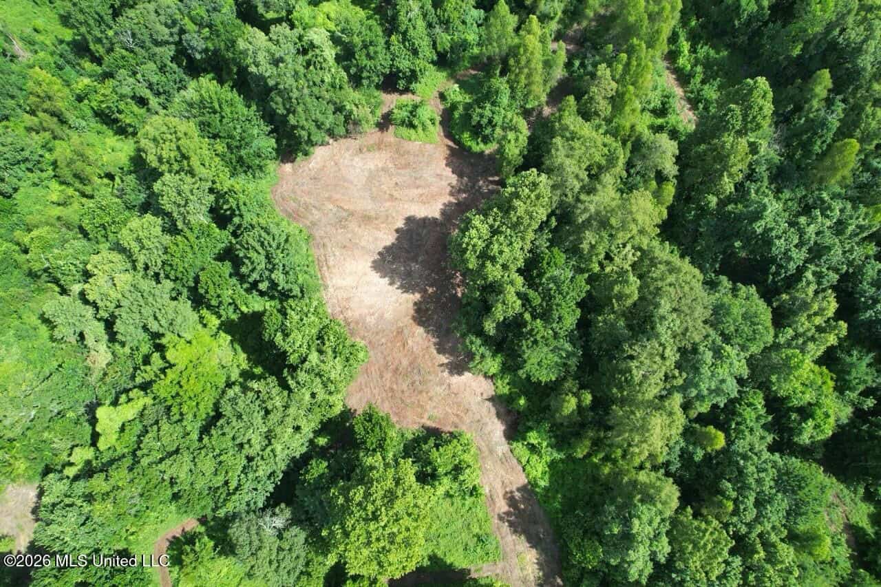 140± Acres in West Feliciana Parish, LA