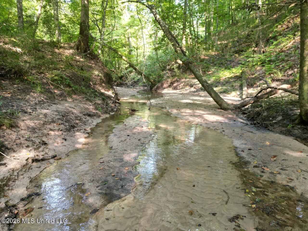375± Acres in Jefferson County, MS Near Natchez Trace