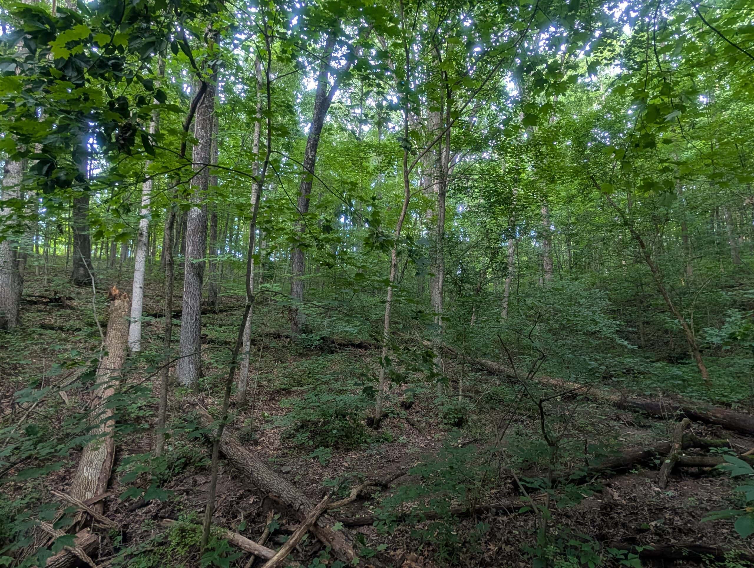 Camper Ready Recreational Tract in Noble County