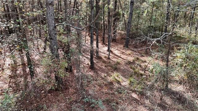 Hunting Property with Hwy and Creek Frontage