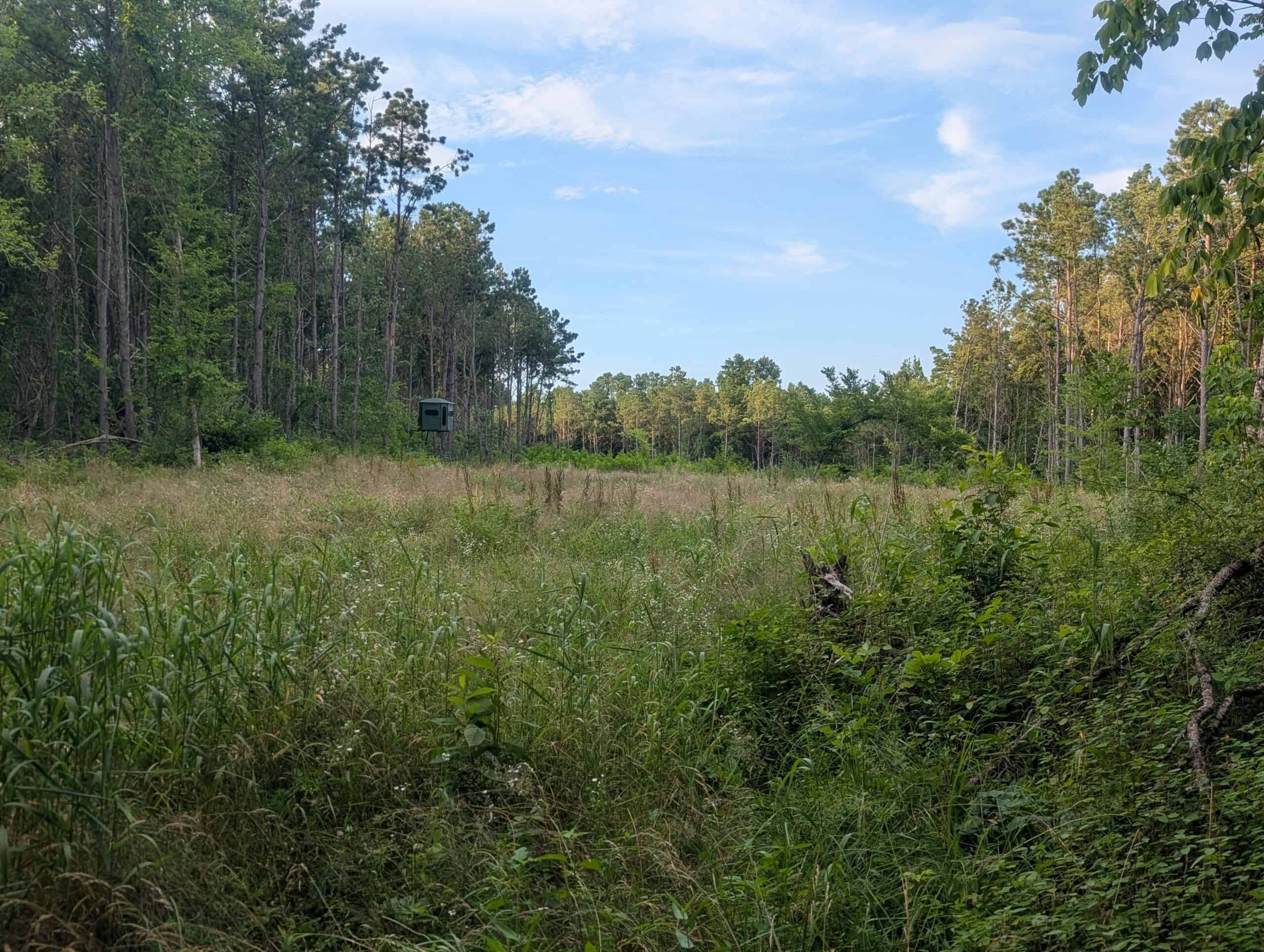 Secluded Turnkey Hunting Property
