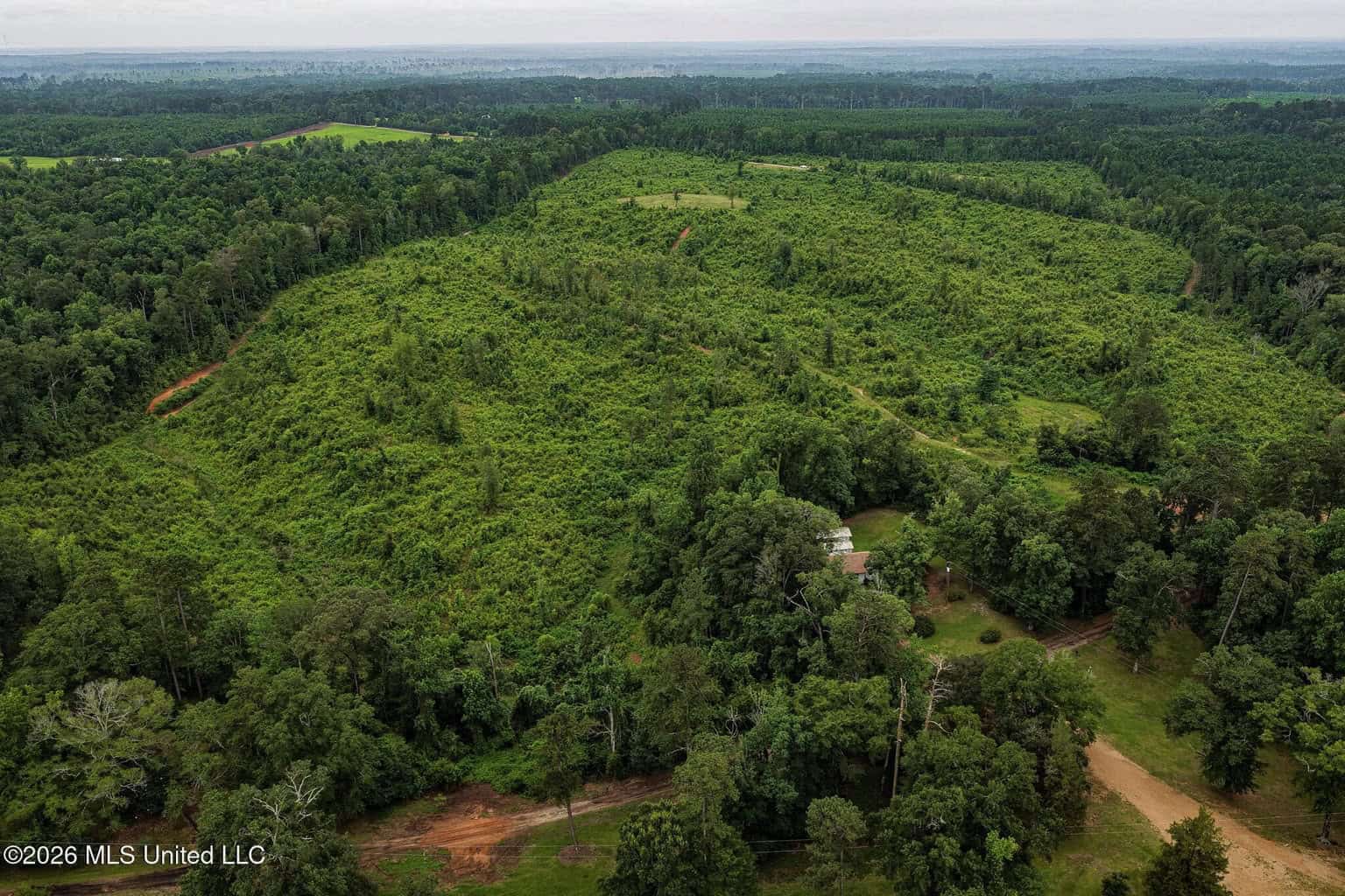 63.75 AC Amite County, MS Hunting Property