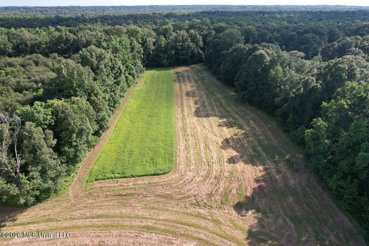 Wilkinson County, MS Hunting Club Membership
