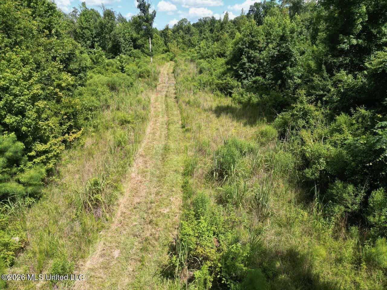 45± Acres in Aimwell, LA with Ford Creek Frontage