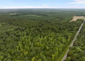 153-Acre Timberland for Sale in Edward, NC