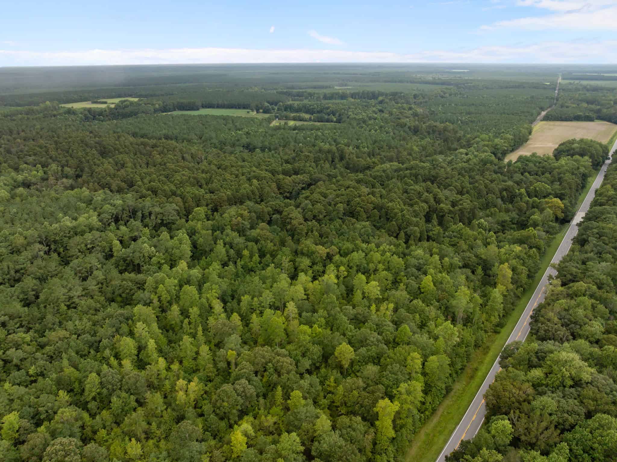 153-Acre Timberland for Sale in Edward, NC