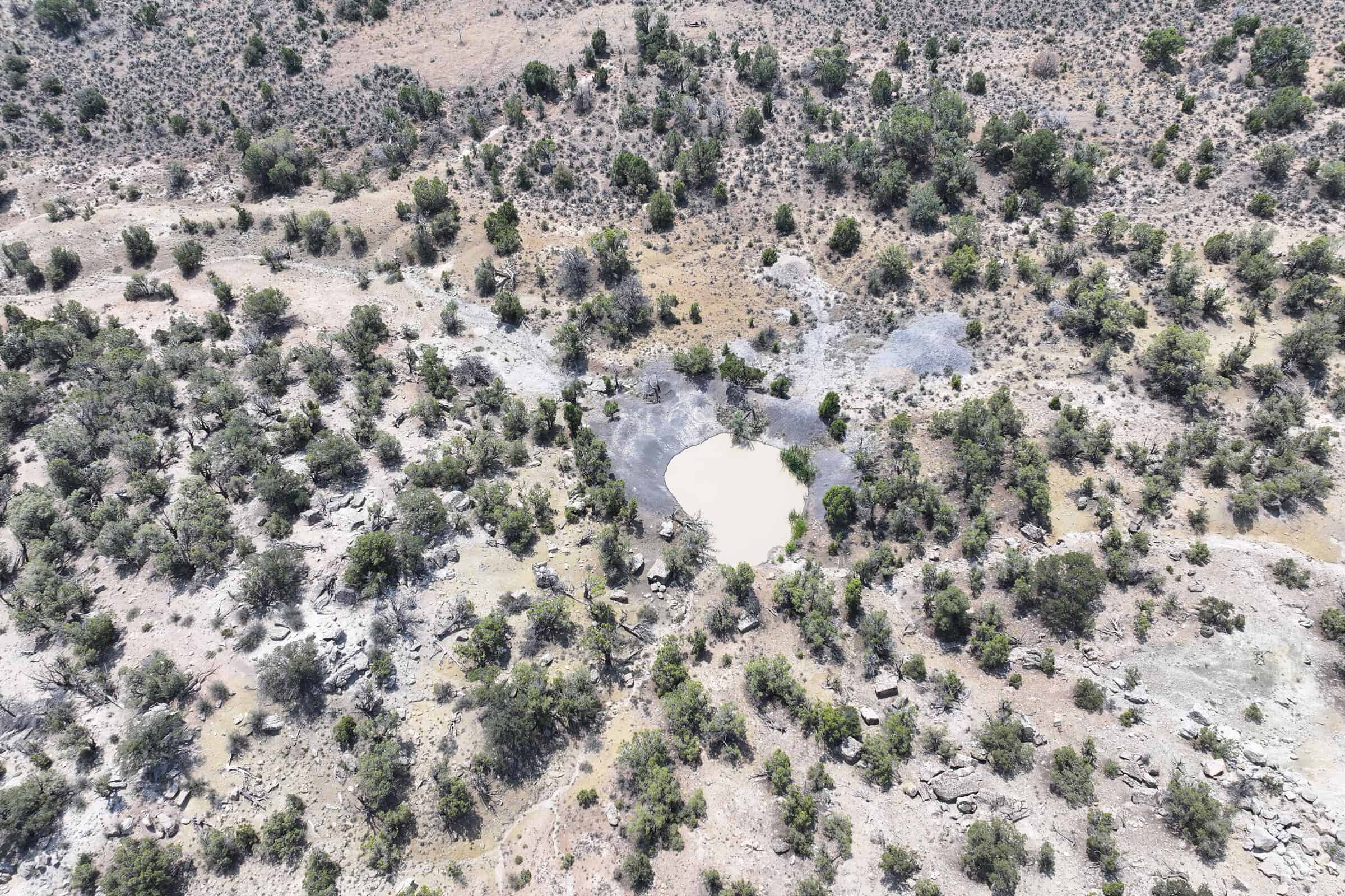 Cabin on 71 Acres in DeBeque Colorado