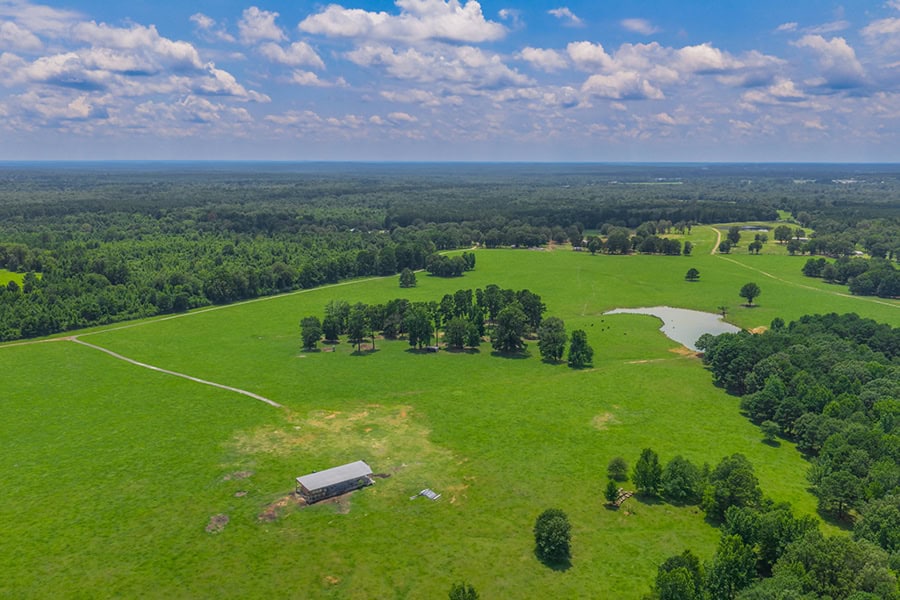 East TX Cattle Ranch & Hunting Land, Marshall Tx For Sale