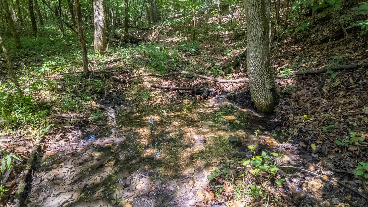 Prime Hunting Property in the Arkansas Ozarks