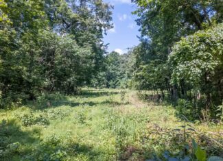 Prime Hunting Property in the Arkansas Ozarks