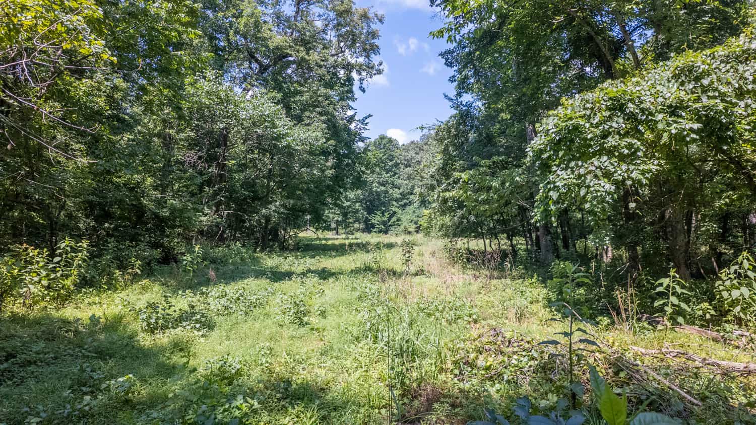 Prime Hunting Property in the Arkansas Ozarks