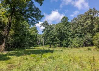 Prime Hunting Property in the Arkansas Ozarks