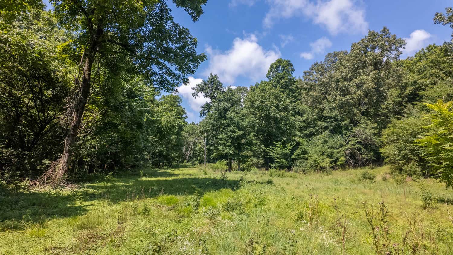 Prime Hunting Property in the Arkansas Ozarks