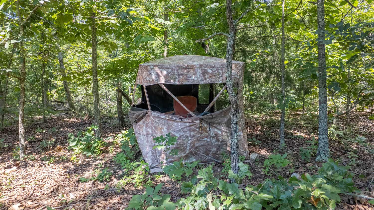 Prime Hunting Property in the Arkansas Ozarks