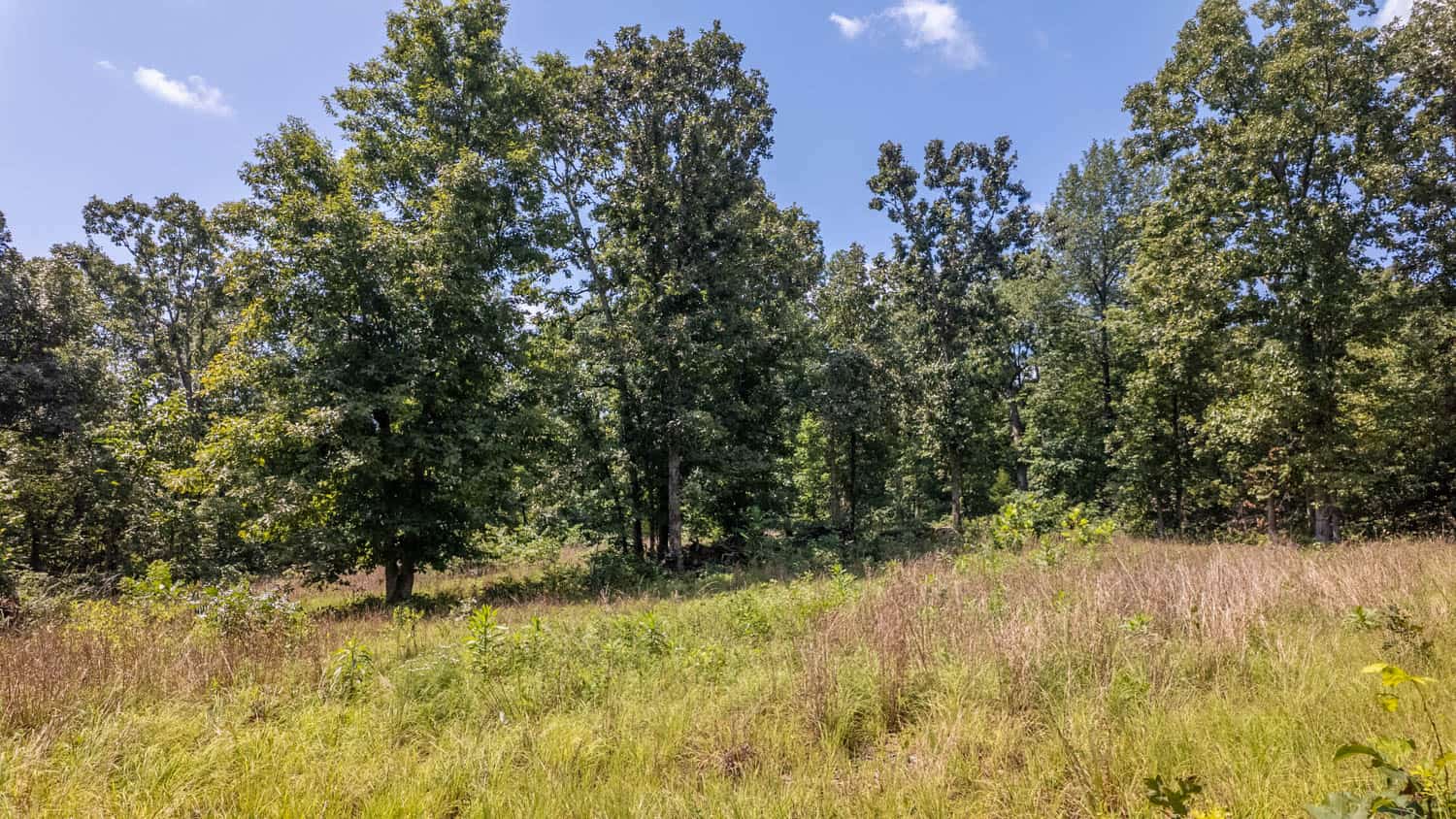 Prime Hunting Property in the Arkansas Ozarks