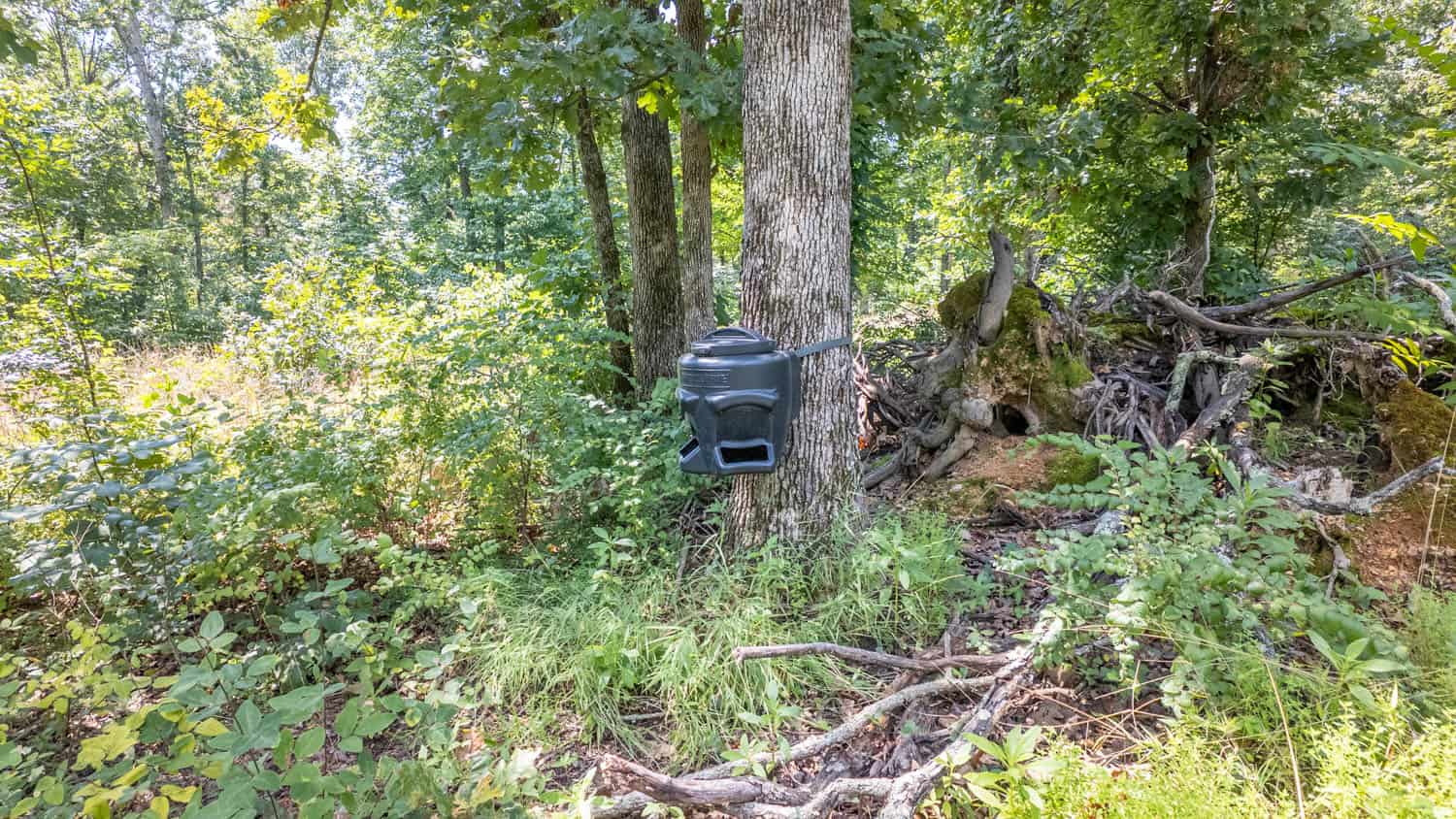Prime Hunting Property in the Arkansas Ozarks