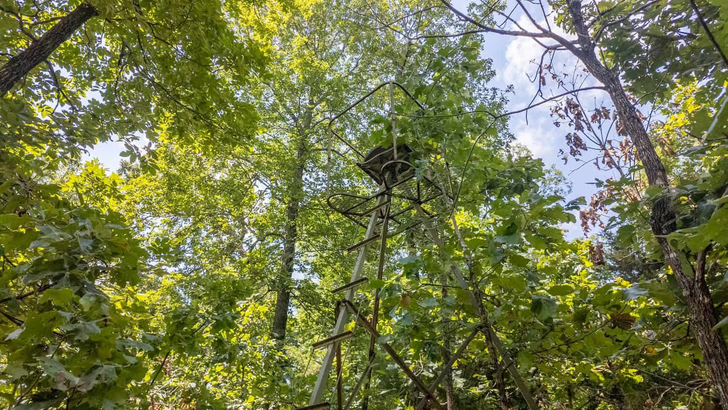 Prime Hunting Property in the Arkansas Ozarks