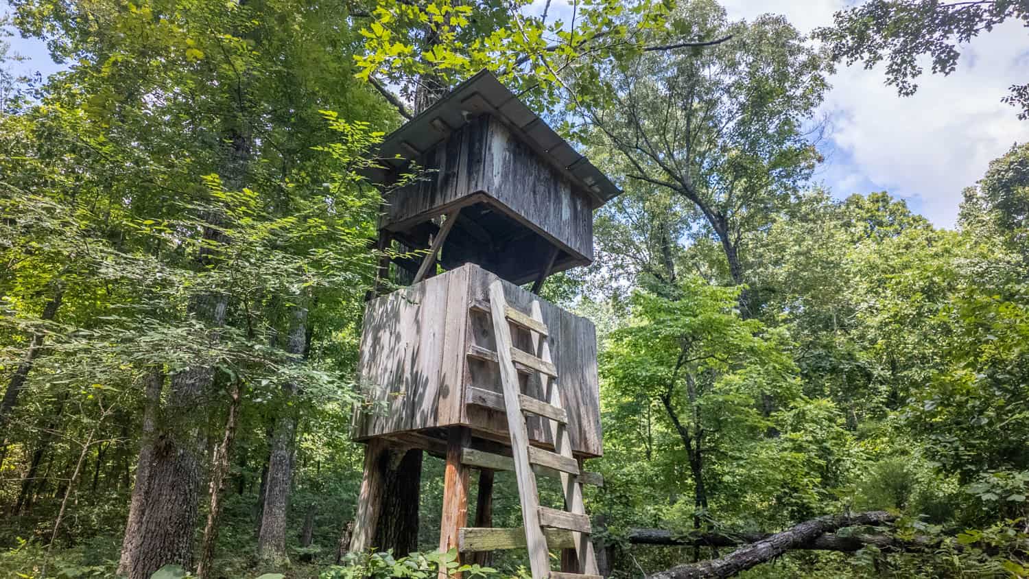 Prime Hunting Property in the Arkansas Ozarks