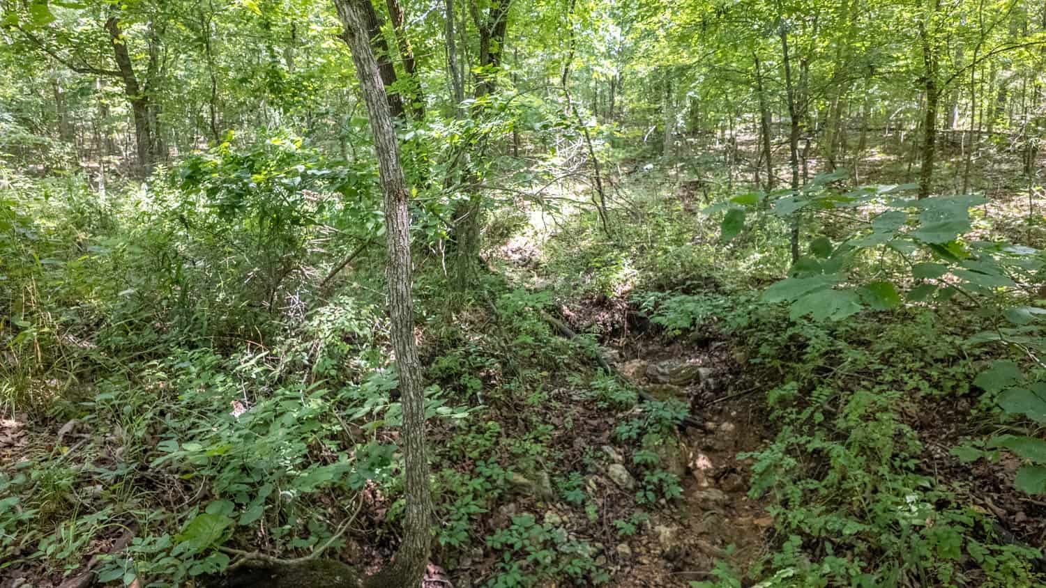 Prime Hunting Property in the Arkansas Ozarks