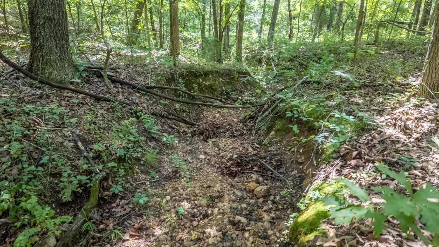 Prime Hunting Property in the Arkansas Ozarks