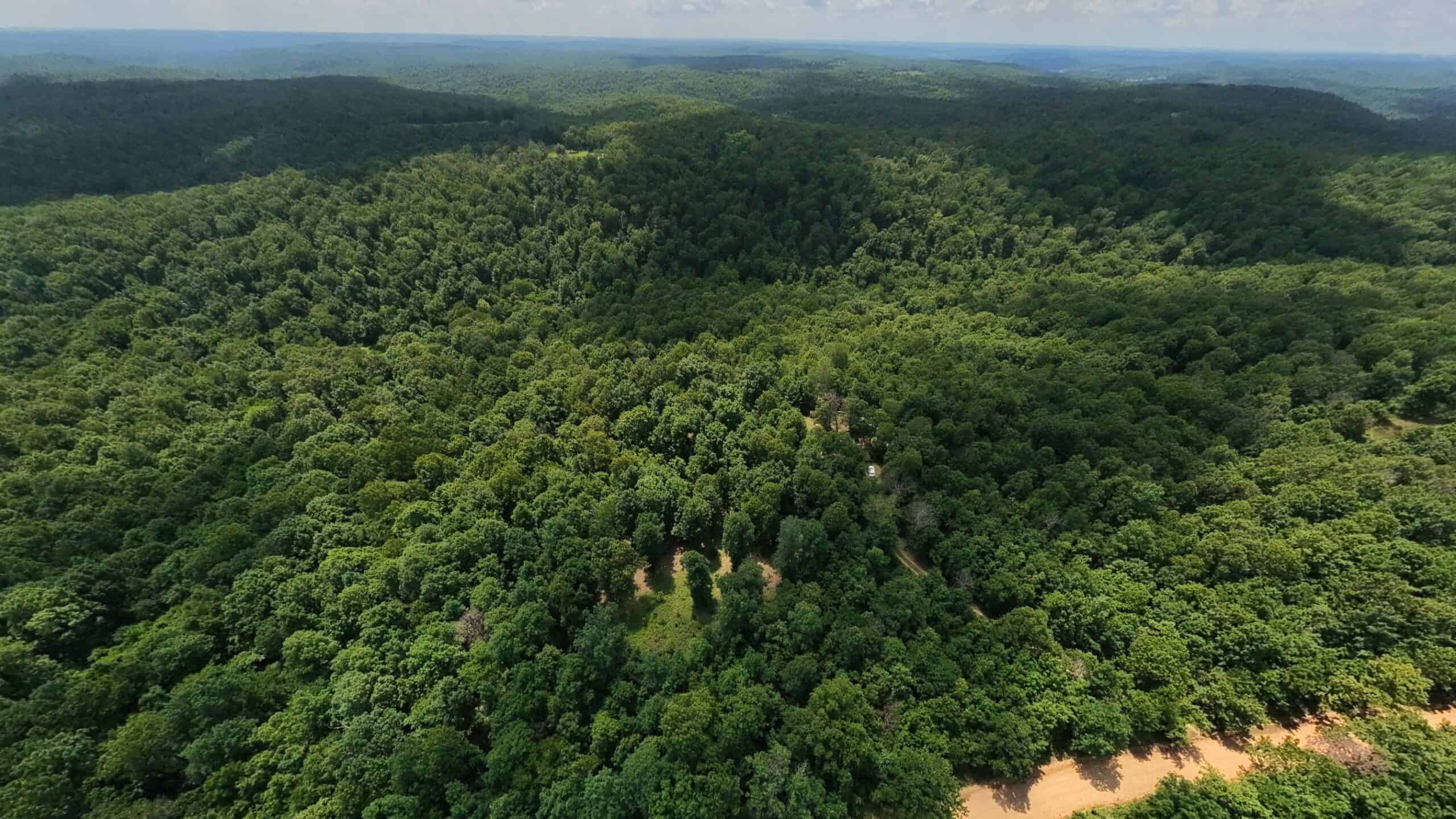 Prime Hunting Property in the Arkansas Ozarks