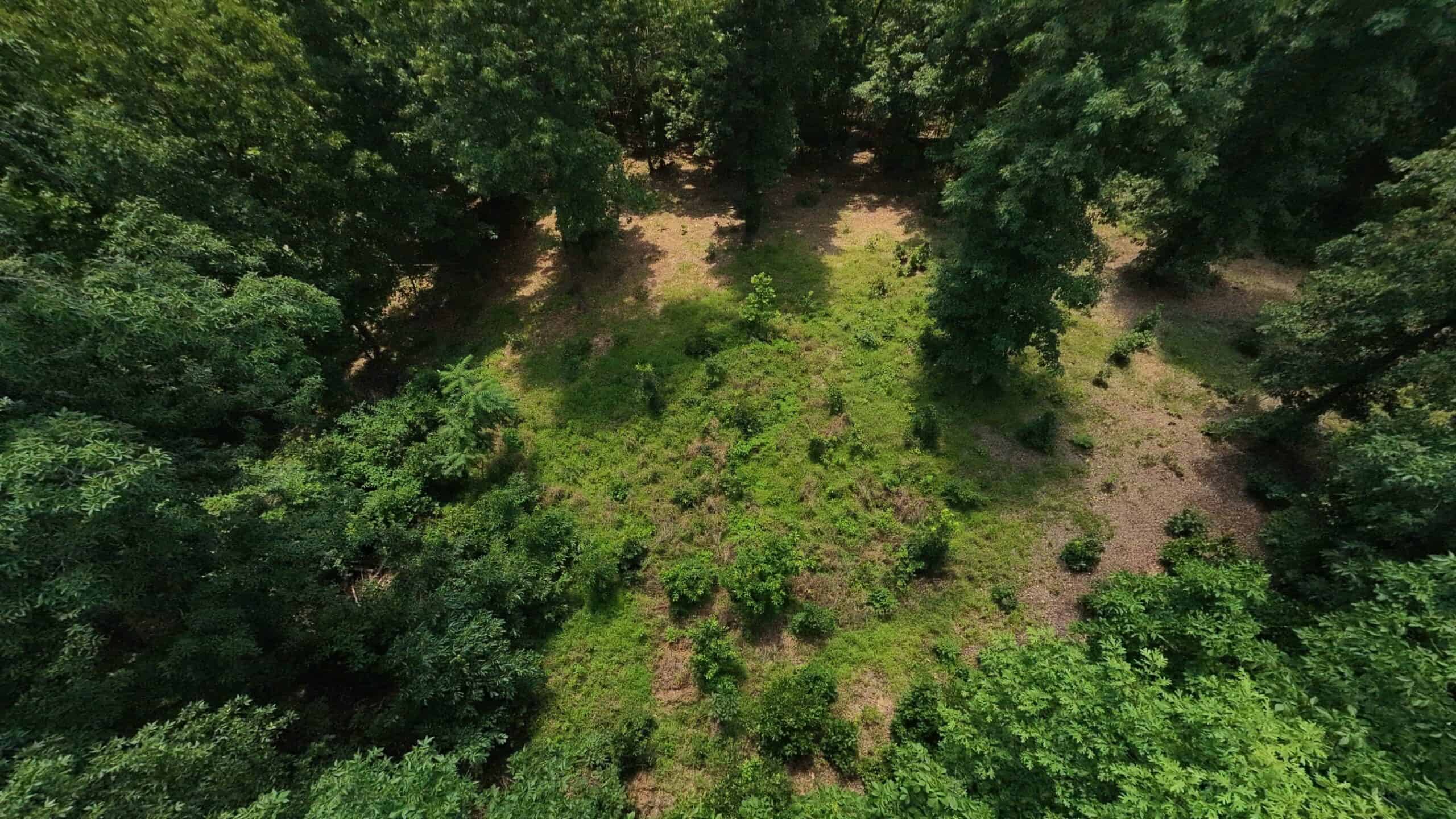 Prime Hunting Property in the Arkansas Ozarks