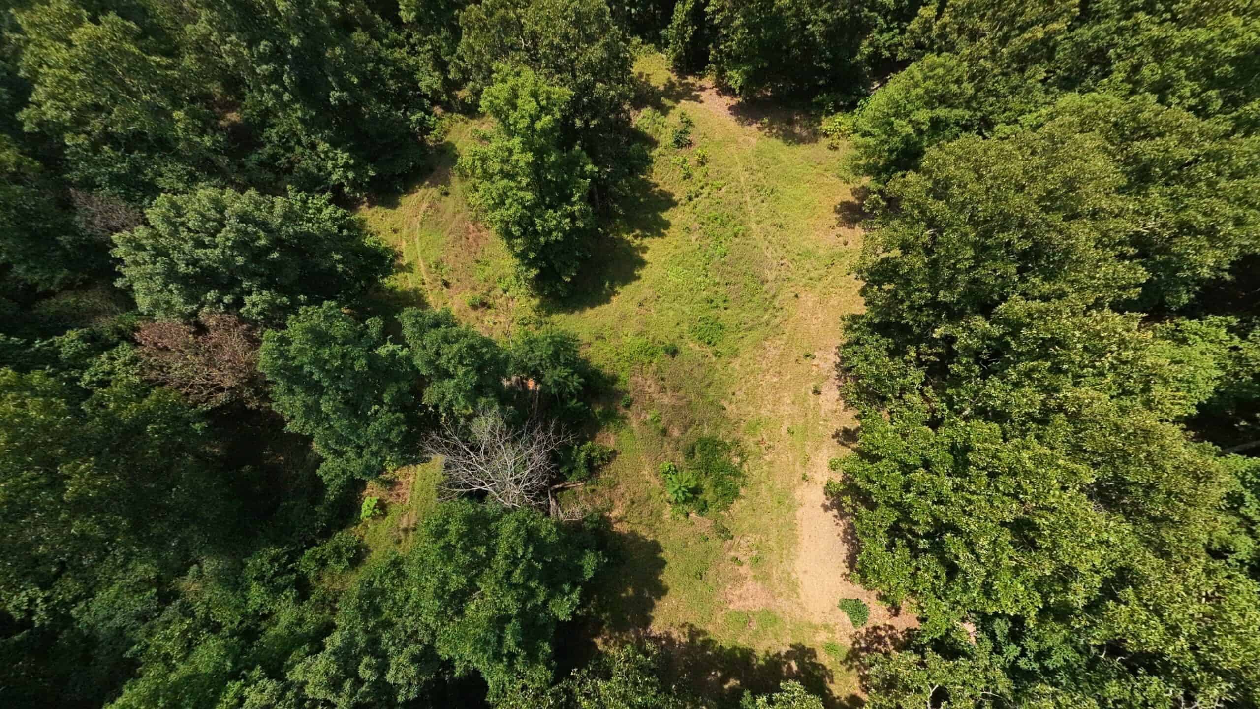 Prime Hunting Property in the Arkansas Ozarks