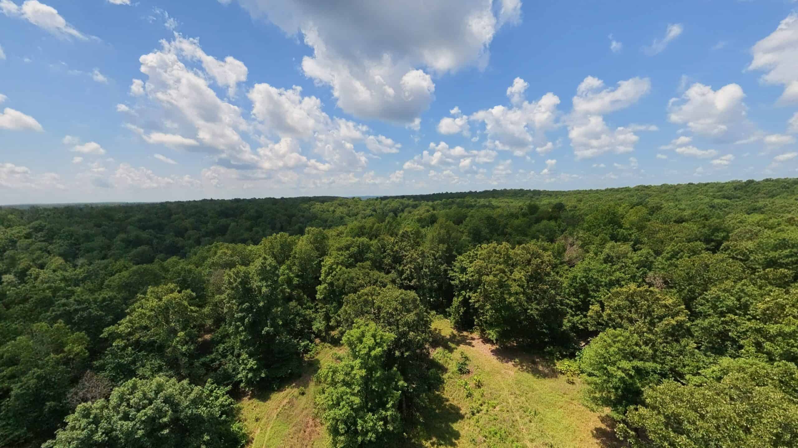 Prime Hunting Property in the Arkansas Ozarks