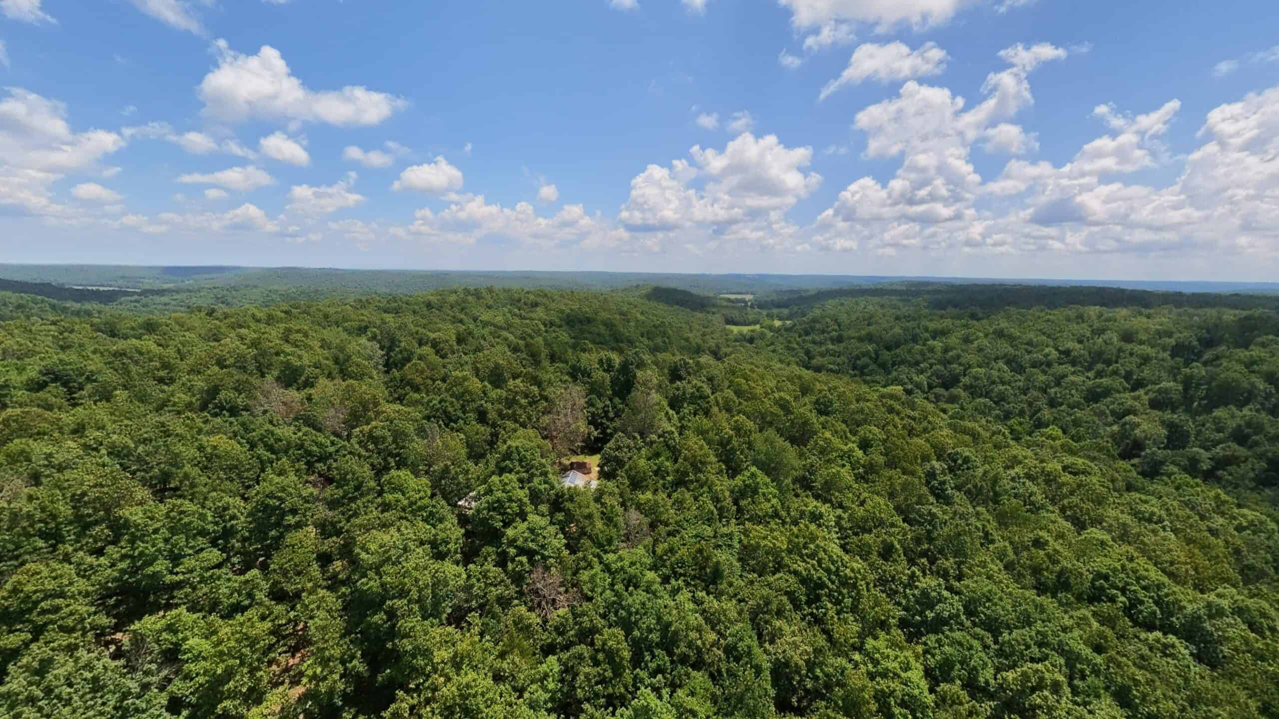 Prime Hunting Property in the Arkansas Ozarks