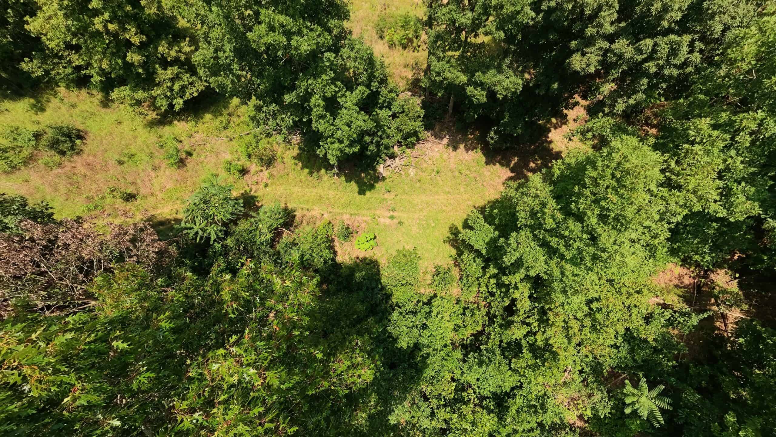 Prime Hunting Property in the Arkansas Ozarks